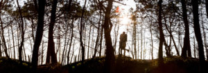 fotógrafo de bodas